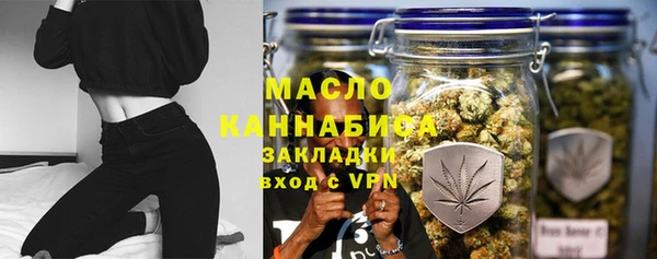 молекула духа Арсеньев