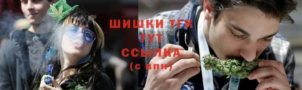 молекула духа Арсеньев