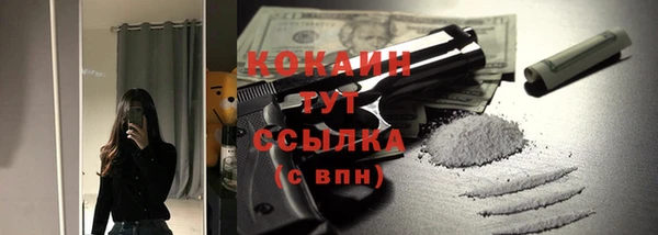 молекула духа Арсеньев