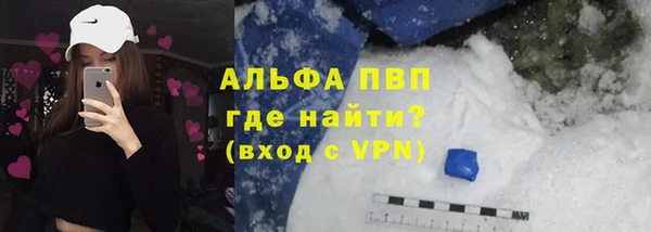 молекула духа Арсеньев