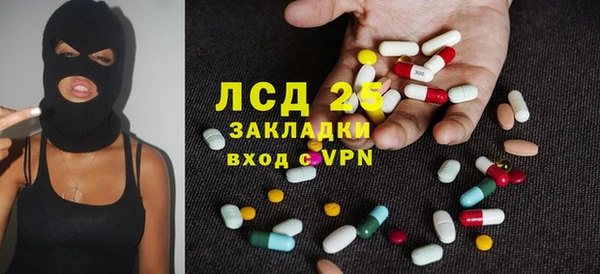 молекула духа Арсеньев