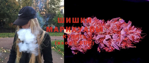 молекула духа Арсеньев