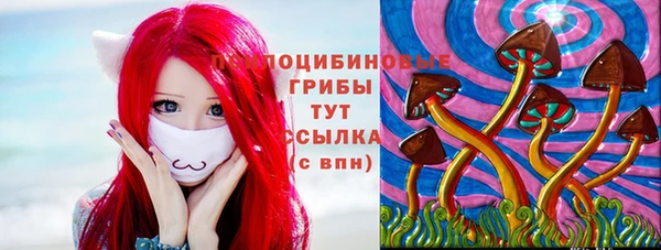 а пвп мука Армянск