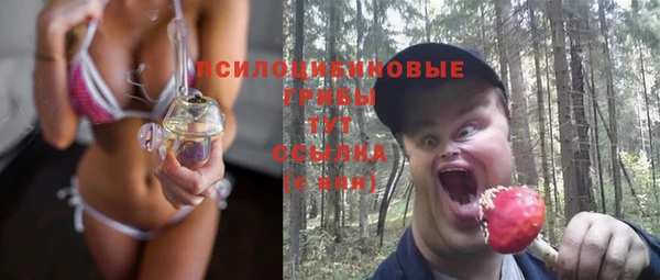 а пвп мука Армянск