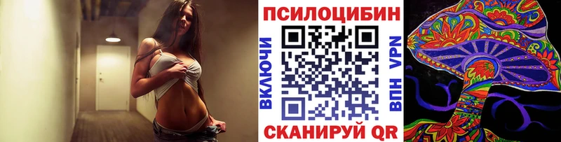 мега ССЫЛКА  магазин продажи наркотиков  Рудня  Псилоцибиновые грибы Magic Shrooms 